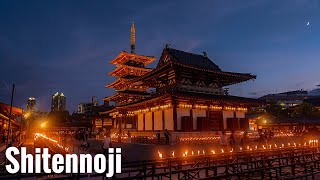 よんよん❀祝の儀❀2025年からの奇跡に the pillows『BURNING DEBRIS 2025.1.31 at KT Zepp