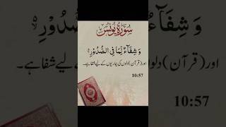 📖 Surah Yunus 🌙 | Full Surah with Translation 🤲 | Quran Recitation | Powerful Islamic Reminder 💖