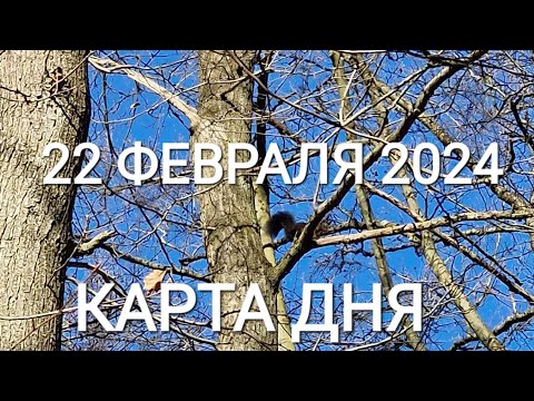 22 февраля 2024 | карта дня | все знаки зодиака 🃏🍀💫