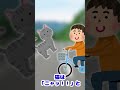 【ほっこりするスレ】猫を自転車ではねてしまった【感動ショート】