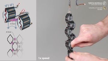 Combining soft artificial muscles with magnetic exoskeleton to create versatile robots