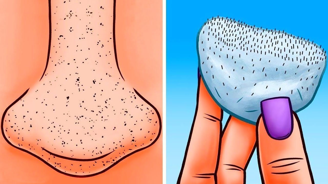 40 TRUCOS DE BELLEZA PARA CHICAS PEREZOSAS QUE DEBES INTENTAR AHORA MISMO manualidades de animales