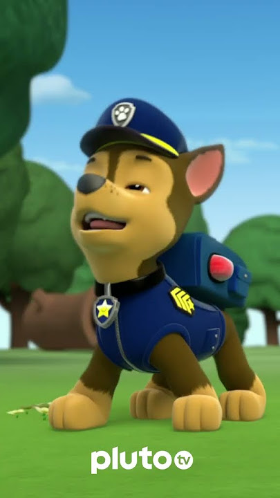 Paw Patrol de juguete. Una serie de juegos con la Patrulla Canina. Videos  para niños 