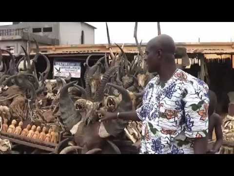 Download Macabere Voodoo-markt in Togo (NIET VOOR KINDEREN!)