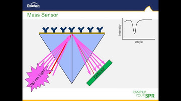 Page and Murphy - Expanding Surface Plasmon Resonance Capabilities with Reichert