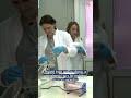 Pretvaranje meduza u organsko gnojivo