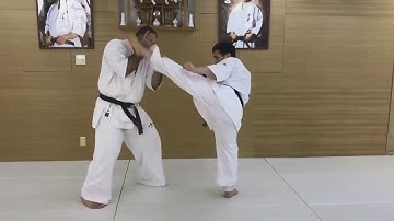 Combination #10. Yakusoku Kumite