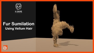 Houdini | Vellum Hair Simulation