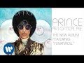 Prince  funknroll official audio