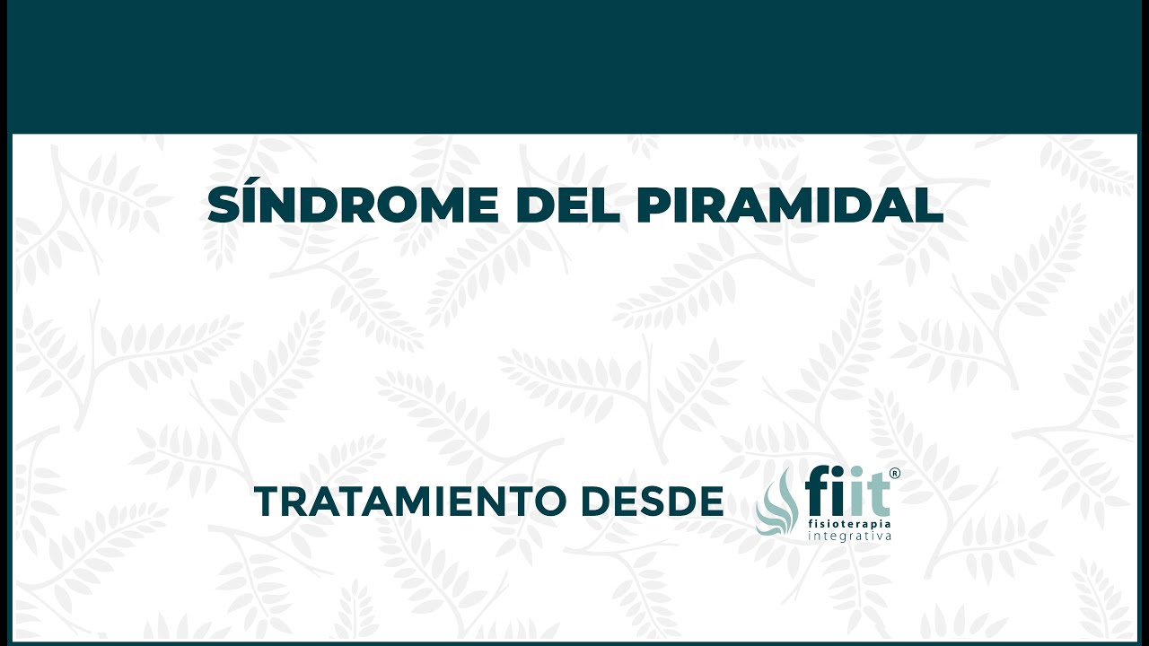 infantile systemic hyalinosis Síndrome del Músculo Piramidal. Tratamiento de Fisioterapia - FisioClinics Bilbao