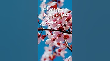 القرآن الكريم/سورة الكهف  بصوت الحاج عامر الكاظمي/اللهم صل وسلم على نبينا محمد (السلام عليكم  )