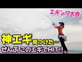 【エギング】100名以上が参加の大会に 本気で挑んだ結果…