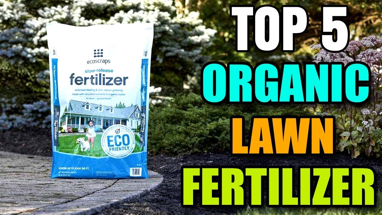 Best Organic Lawn Fertilizer Pet Safe YouTube