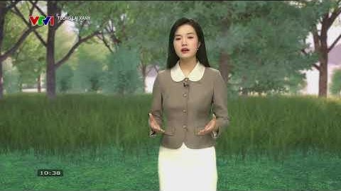 COP30 TỪ AMAZON ĐẾN TÍN CHỈ CARBON TẠI VIỆT NAM