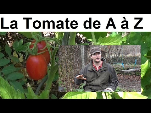 «Permaculture agroécologie etc…» Youtube channel ad incomefeature preview image