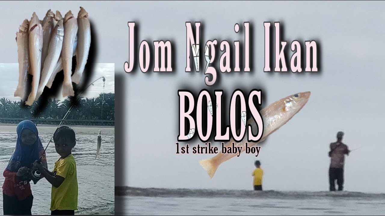 Jom Ngail Bolos. teknik dan cara mudah mancing bolos di pantai  , Malaysia Fishing