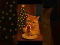 Babycartoonvideos #babycartoon