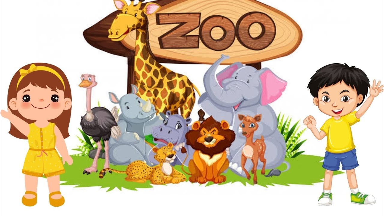 animals-at-the-zoo-zoo-animals-for-kids-bee-kids-learning-youtube