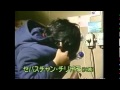 西田敏行 即興Stライブ3 僕らは地球の宝島