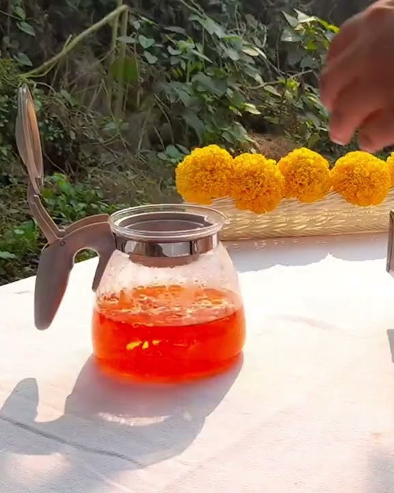 Download lagu Marigold Will Make Your Skin Glow #shorts #shortsfeed #youtubeshorts #marigold #tea #flowers