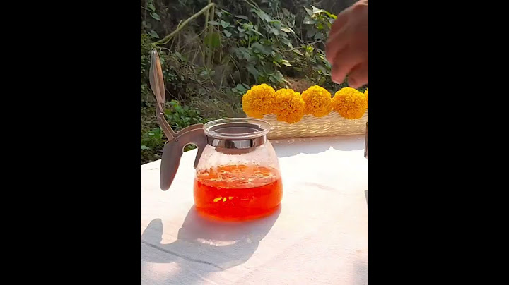 Marigold Will Make Your Skin Glow #shorts #shortsfeed #youtubeshorts #marigold #tea #flowers