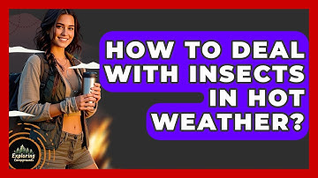 How To Deal With Insects In Hot Weather? - Exploring Campgrounds