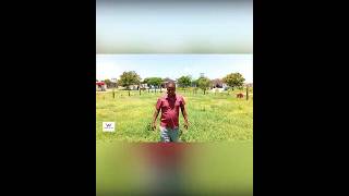 dhakhtarka guud shiniile o lagu magacabo Farax faras