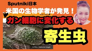 米国の生物学が発見！ガン細胞に変化する寄生虫！イエズス会の家畜となるな！