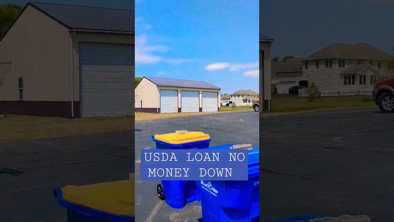 USDA loan got me 3 acres with NO money down 😲 The reason why I moved to Delaware from NYC 🚘