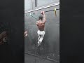 calisthenics challenge
