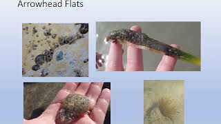 Video 1 Arrowhead Trail Tour