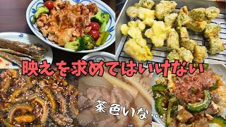 じゃがいも急成長と相変わらずの日常