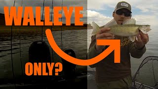 Trolling for Walleye on a Tough Bite | Crawlers and Minnows with Bottom Bouncers | Lake Sakakawea
