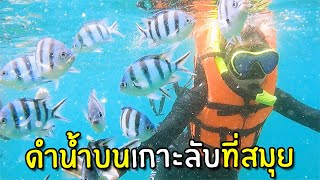 Snorkle Diving at the Samui's Secret Island #3 | Koh Samui