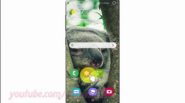 Samsung Galaxy S10 : How to enable or disable make password visible