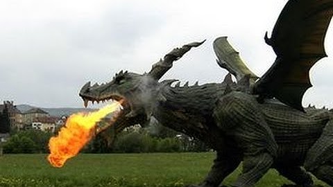 Watch: 2014 Guinness World Records