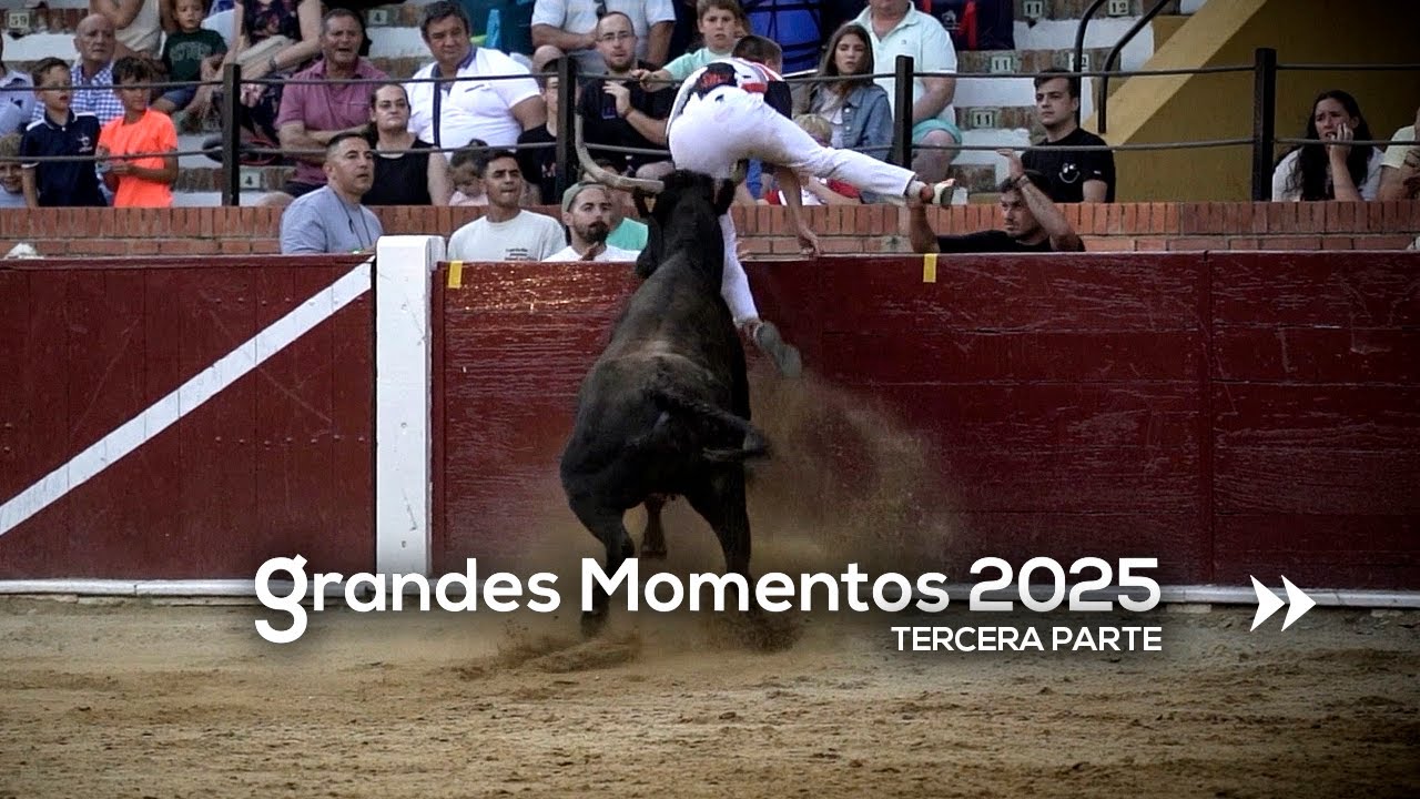 🤩 GRANDES MOMENTOS de 2025 · Tercera parte
