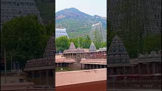 🙏தென்னாடுடைய சிவனே போற்றி திருவண்ணாமலை🔱 #sivan #lord #omnamahshivaya #kovil #om #temple
