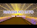nabana no sato winter illumination