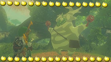 All 900 Korok Seeds Reward REACTION
