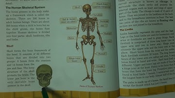 Class 6, Science, Animals- Forms and Functions, Part 3