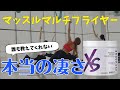 【アムウェイ】マッスルマルチプライヤー【解説】