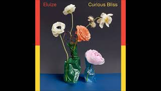Eluize - Curious Bliss (Massimiliano Pagliara 808 - Disco Remix) [Fv019] Resimi