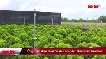 Ứng dụng điện thoại để kích hoạt dàn điều khiển tưới hoa | Truyền Hình - Báo Tuổi Trẻ