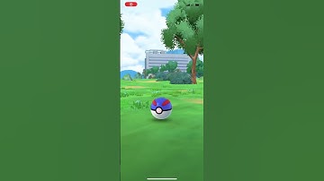 Random shiny Clamperl to start off the event ✨✨✨✨✨