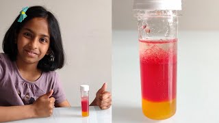 Science Experiments to do at home easy | Multi Layered Liquid Density Wealth