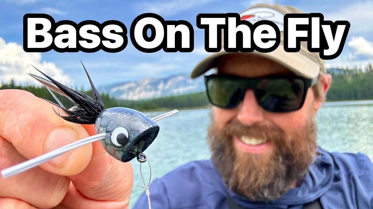 Bass On The Fly
