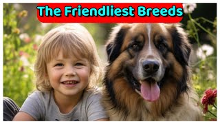 Friendly Dogs: Learn How to Choose the Right Breed for You