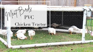 Chicken Tractor || Raising Meat Birds the Easy Way || PVC Pipe Design