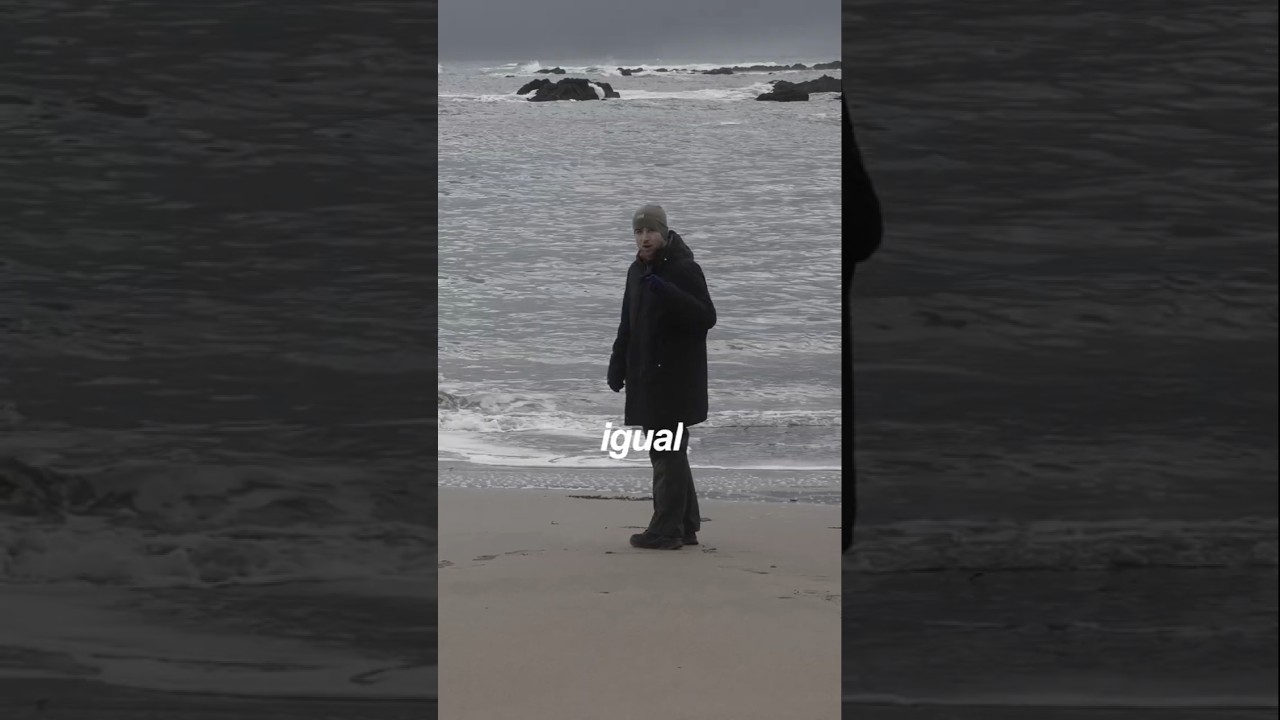 Vlog en Català per Islandia: Foques Jugant a la Platja de Ytri Tunga #catalanpodcast #learncatalan